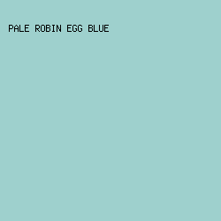 9ED0CD - Pale Robin Egg Blue color image preview
