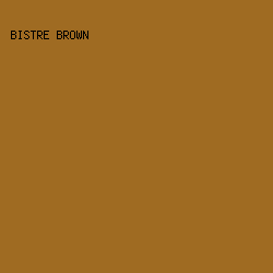 9F6B22 - Bistre Brown color image preview