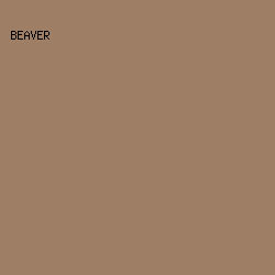 9F7E66 - Beaver color image preview