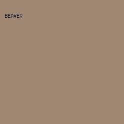 9F8771 - Beaver color image preview
