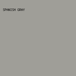 9F9E98 - Spanish Gray color image preview