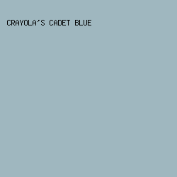 9FB7BF - Crayola's Cadet Blue color image preview