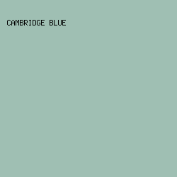 9FBFB3 - Cambridge Blue color image preview