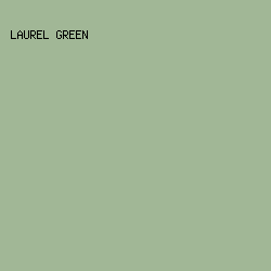 A1B796 - Laurel Green color image preview