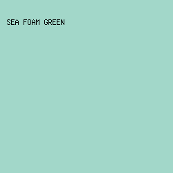 A2D7C9 - Sea Foam Green color image preview