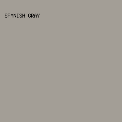A39E96 - Spanish Gray color image preview