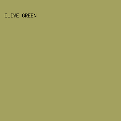 A3A15F - Olive Green color image preview