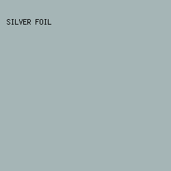 A5B5B6 - Silver Foil color image preview