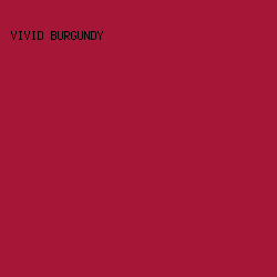 A61637 - Vivid Burgundy color image preview