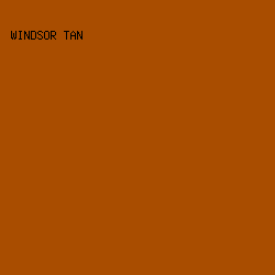 A94D00 - Windsor Tan color image preview