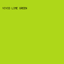 AED719 - Vivid Lime Green color image preview