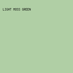 B0CFA5 - Light Moss Green color image preview