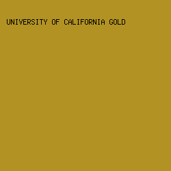 B19223 - University Of California Gold color image preview