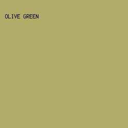 B1AA68 - Olive Green color image preview