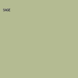 B4BA92 - Sage color image preview