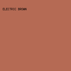 B56A54 - Electric Brown color image preview