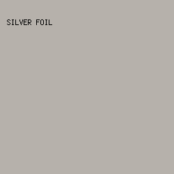 B6B1AB - Silver Foil color image preview