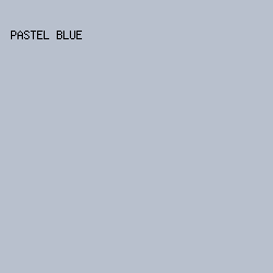 B8C0CD - Pastel Blue color image preview