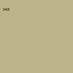 BAB488 - Sage color image preview