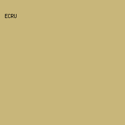 C8B67A - Ecru color image preview