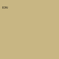 C8B683 - Ecru color image preview