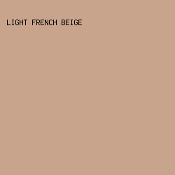 C9A48D - Light French Beige color image preview