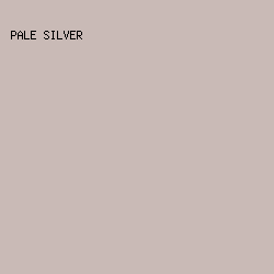 C9BAB6 - Pale Silver color image preview