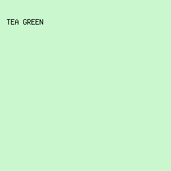 CAF7CE - Tea Green color image preview