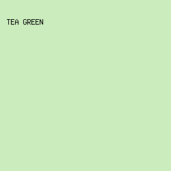 CBECBD - Tea Green color image preview