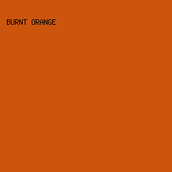 CC550E - Burnt Orange color image preview
