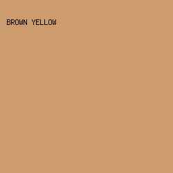 CC9C6E - Brown Yellow color image preview