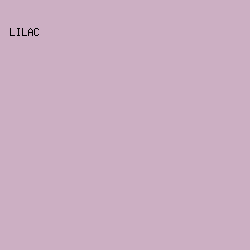 CCAFC3 - Lilac color image preview