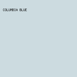 CCDBE0 - Columbia Blue color image preview