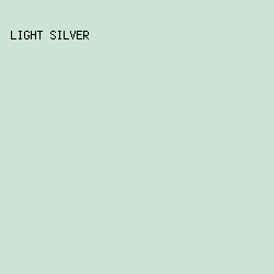 CCE4D7 - Light Silver color image preview