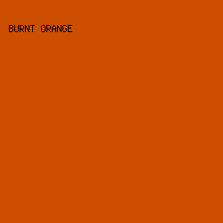 CD4E00 - Burnt Orange color image preview