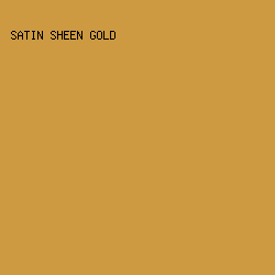 CD9A42 - Satin Sheen Gold color image preview