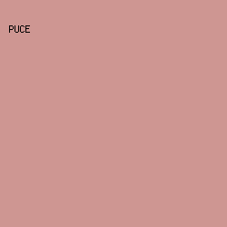 CE9692 - Puce color image preview