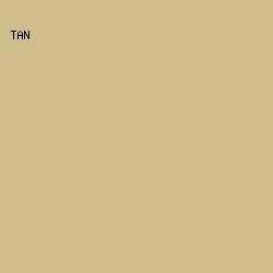 CFBD8B - Tan color image preview