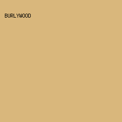D9B77C - Burlywood color image preview
