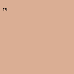 DAAE94 - Tan color image preview