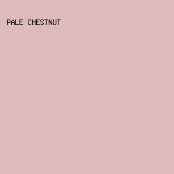 DEBBBA - Pale Chestnut color image preview