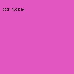 E156C0 - Deep Fuchsia color image preview