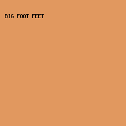 E1985F - Big Foot Feet color image preview