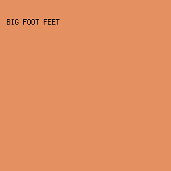 E49061 - Big Foot Feet color image preview