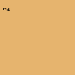E6B46E - Fawn color image preview