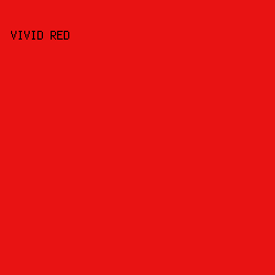 E81313 - Vivid Red color image preview