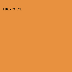 E8913F - Tiger's Eye color image preview