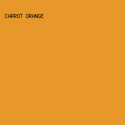 E8982B - Carrot Orange color image preview