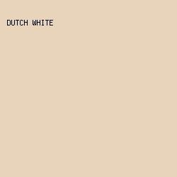 E8D4BA - Dutch White color image preview