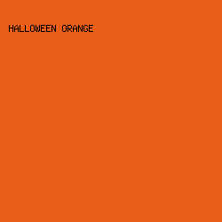 E95F17 - Halloween Orange color image preview